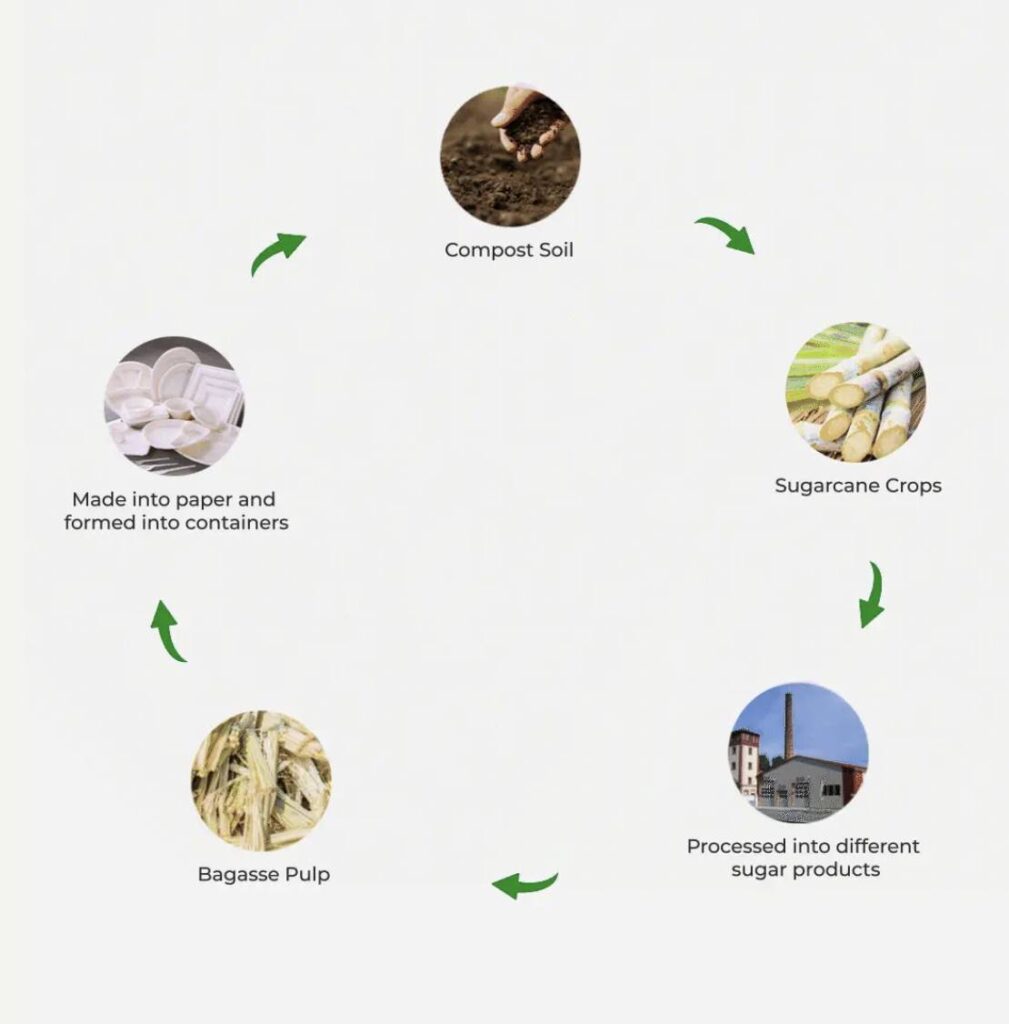 Bagasse Products - Garden Road Distributors